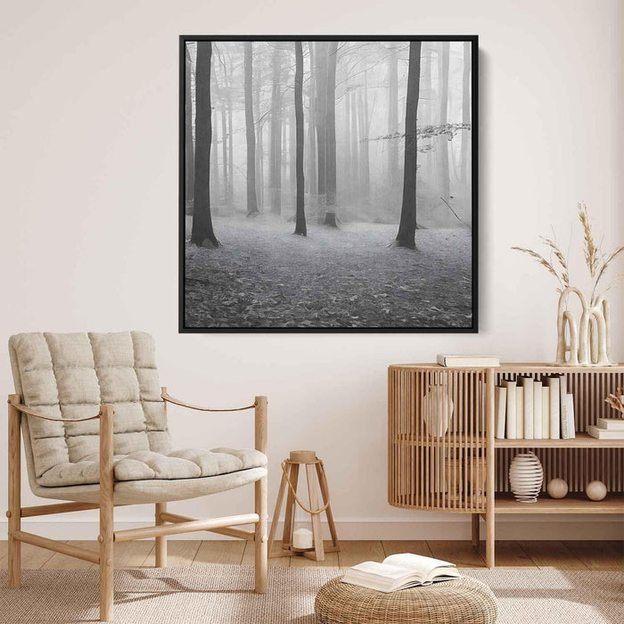 Forest Photography #007 - Kanvah