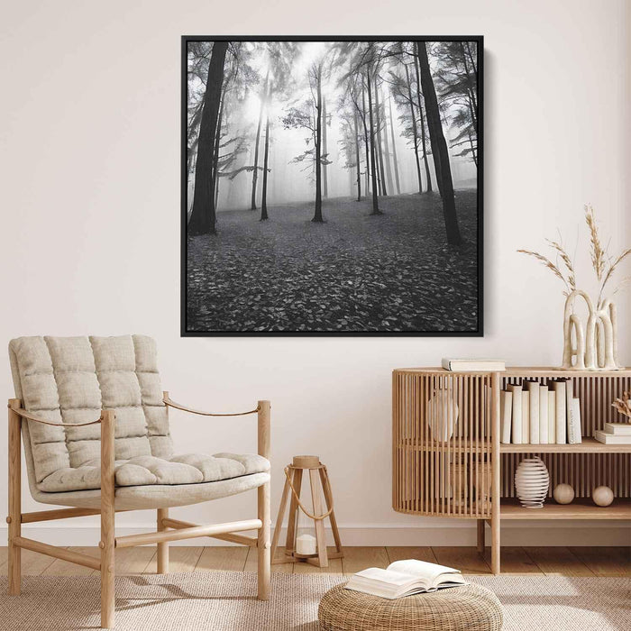 Forest Photography #021 - Kanvah