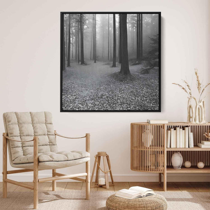 Forest Photography #027 - Kanvah