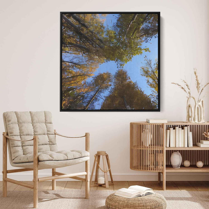 Forest Photography #029 - Kanvah