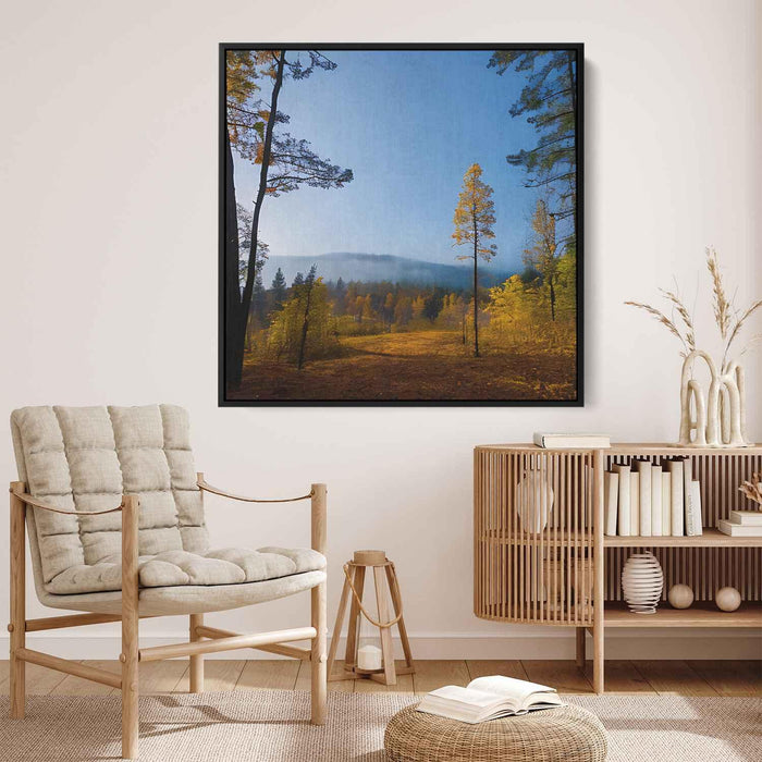 Forest Photography #031 - Kanvah