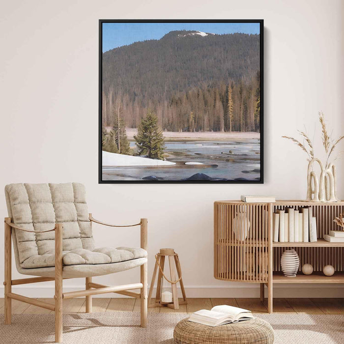 Forest Photography #033 - Kanvah