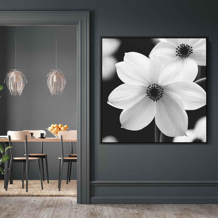 Black and White Daffodils #007 - Kanvah