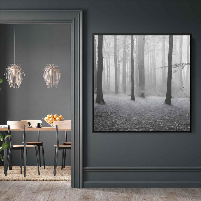 Forest Photography #007 - Kanvah