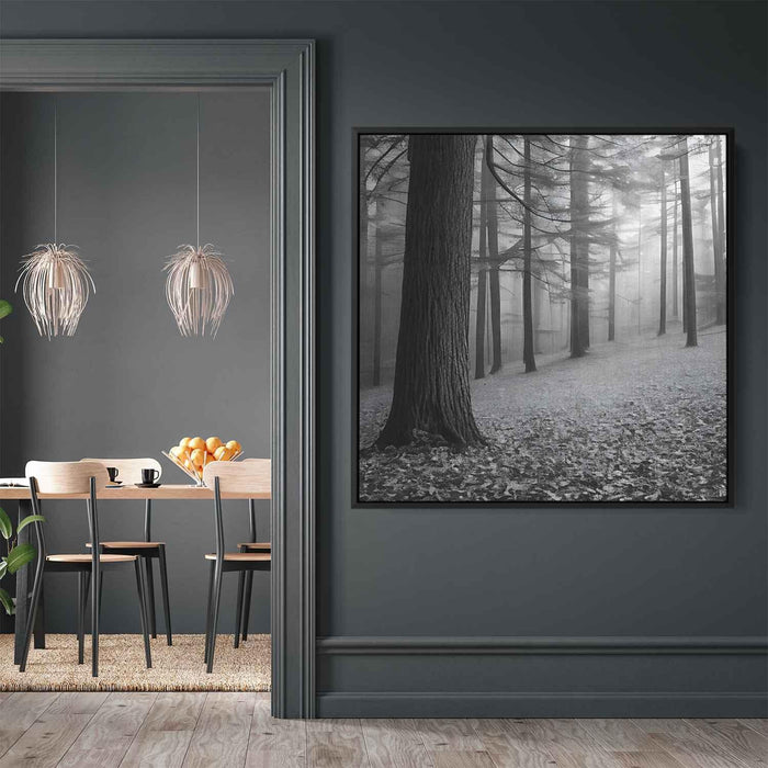 Forest Photography #017 - Kanvah