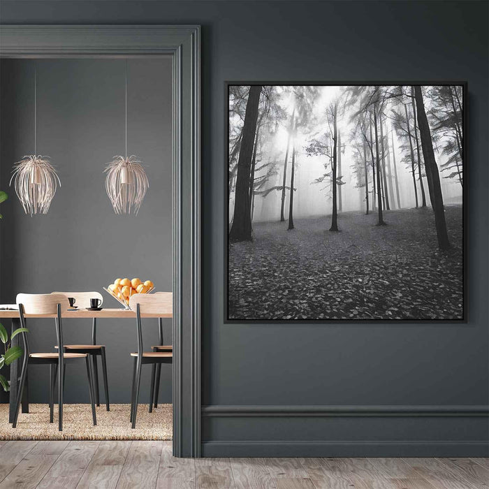 Forest Photography #021 - Kanvah