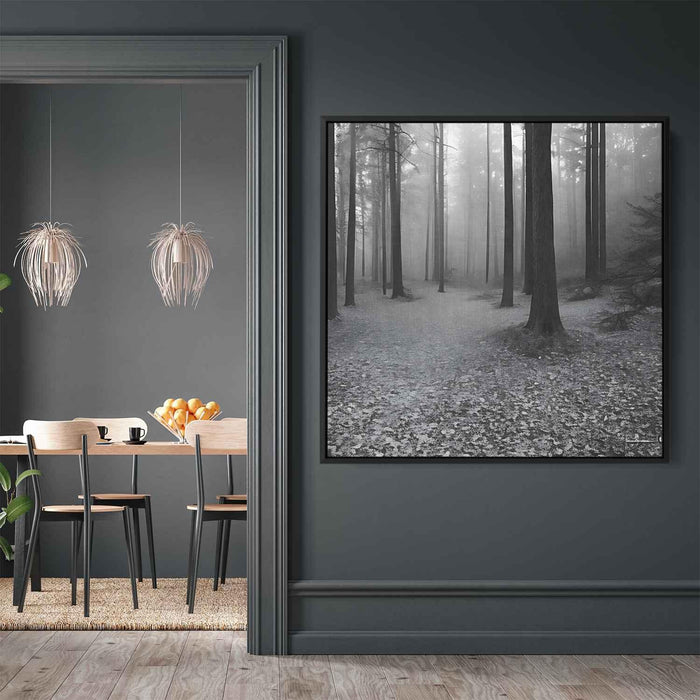 Forest Photography #027 - Kanvah