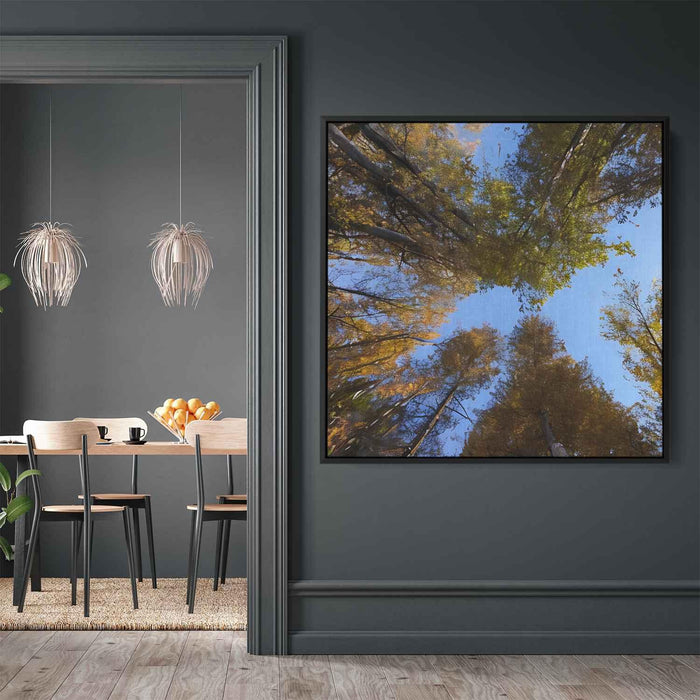 Forest Photography #029 - Kanvah