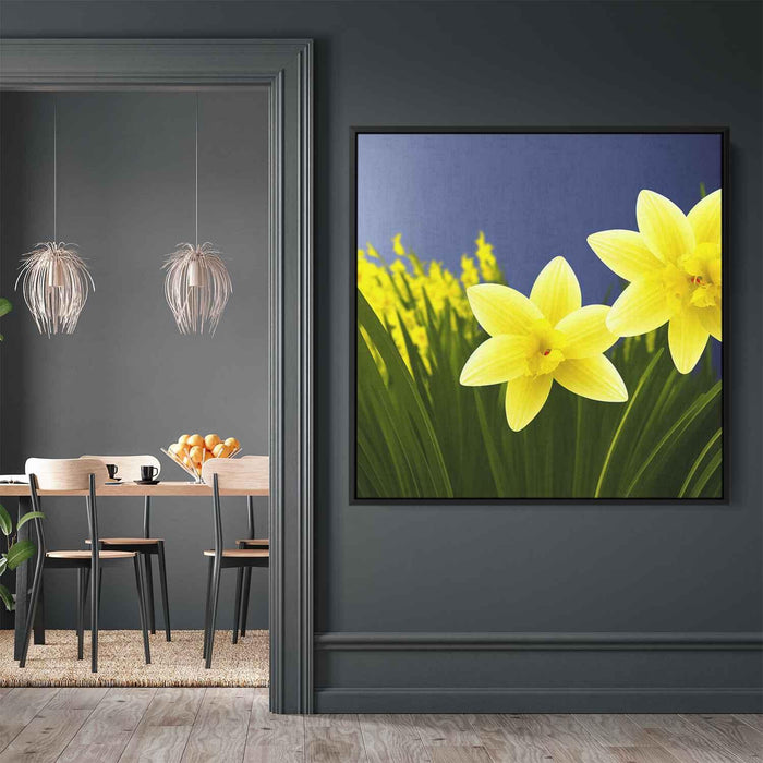 Daffodils Illustration #003 - Kanvah