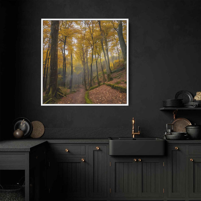 Forest Photography #005 - Kanvah