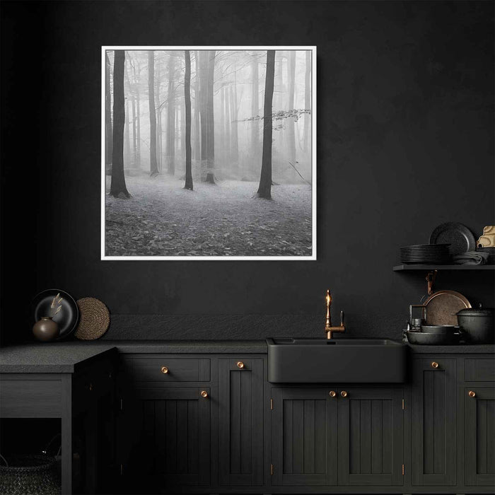 Forest Photography #007 - Kanvah