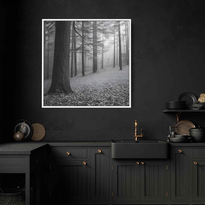 Forest Photography #017 - Kanvah