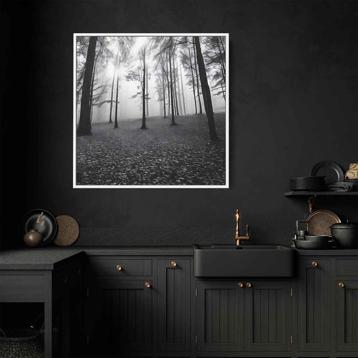 Forest Photography #021 - Kanvah