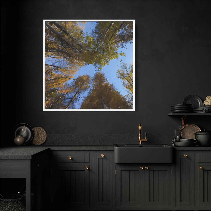 Forest Photography #029 - Kanvah