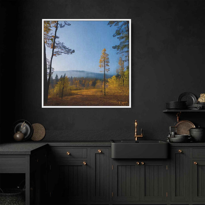 Forest Photography #031 - Kanvah