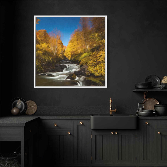 Forest Photography #037 - Kanvah