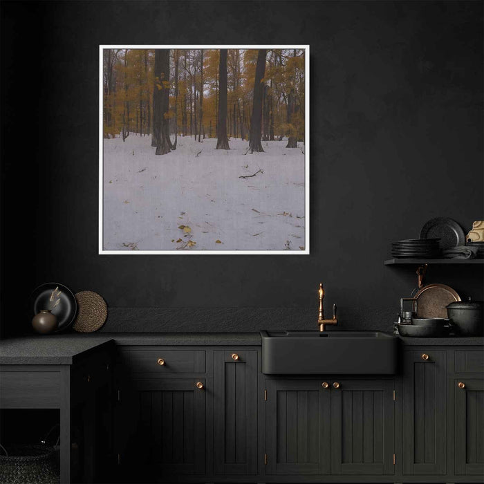 Forest Photography #041 - Kanvah