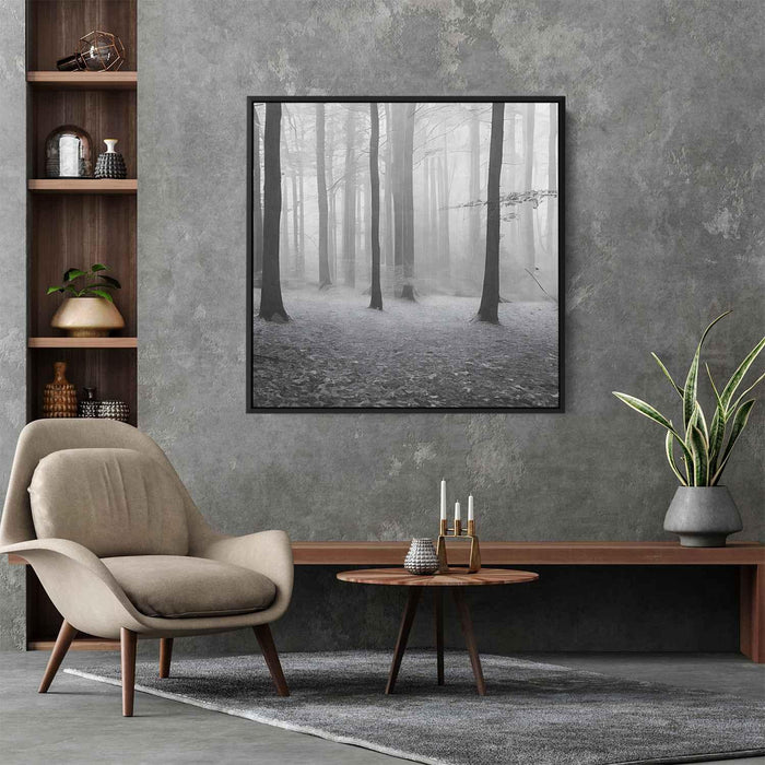 Forest Photography #007 - Kanvah