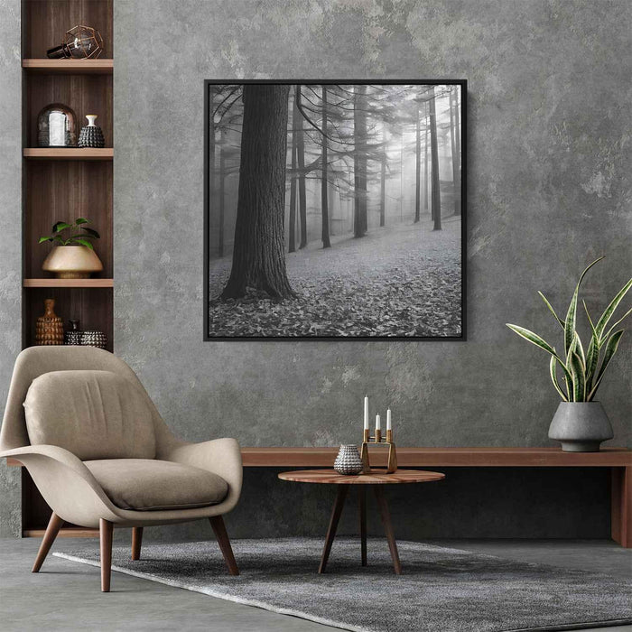 Forest Photography #017 - Kanvah