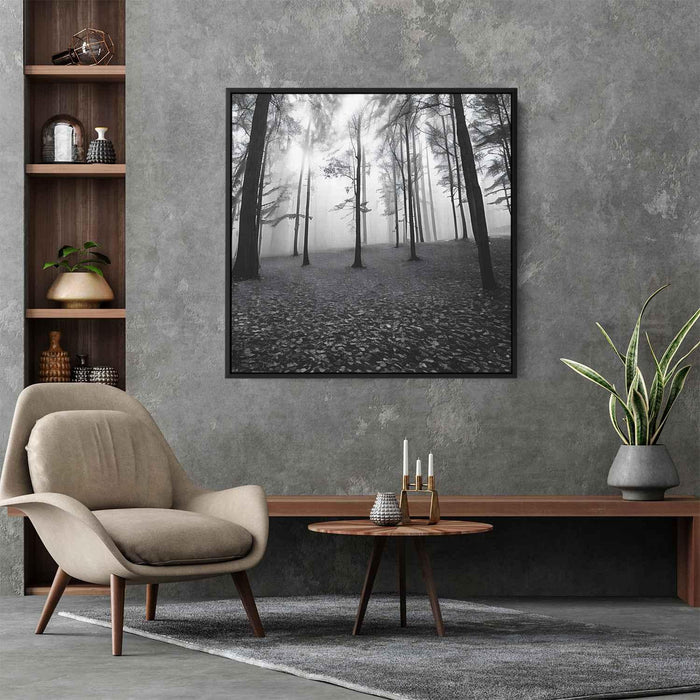 Forest Photography #021 - Kanvah