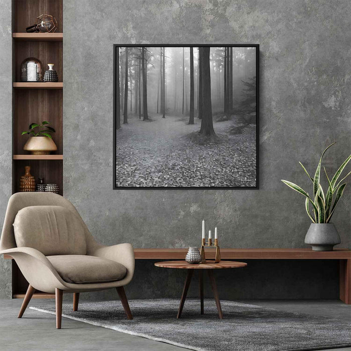 Forest Photography #027 - Kanvah