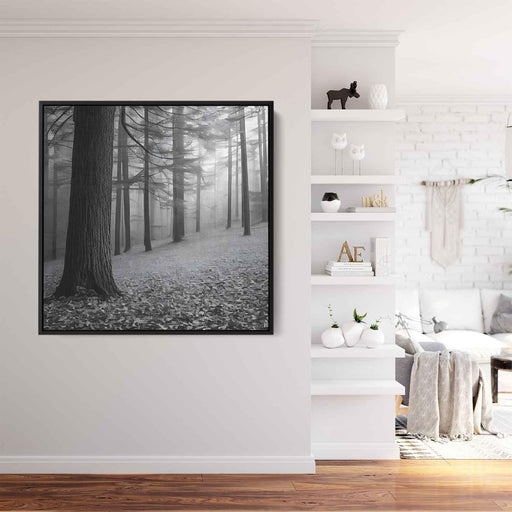 Forest Photography #017 - Kanvah