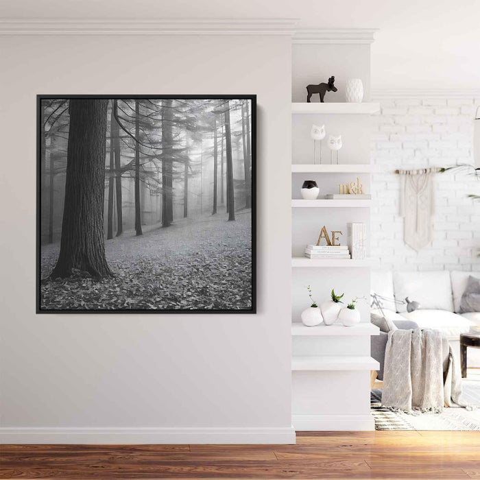 Forest Photography #017 - Kanvah