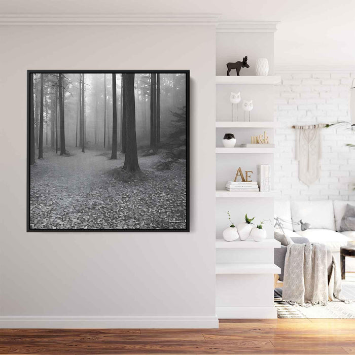 Forest Photography #027 - Kanvah