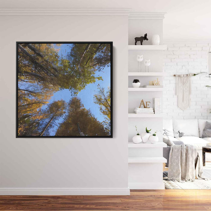 Forest Photography #029 - Kanvah