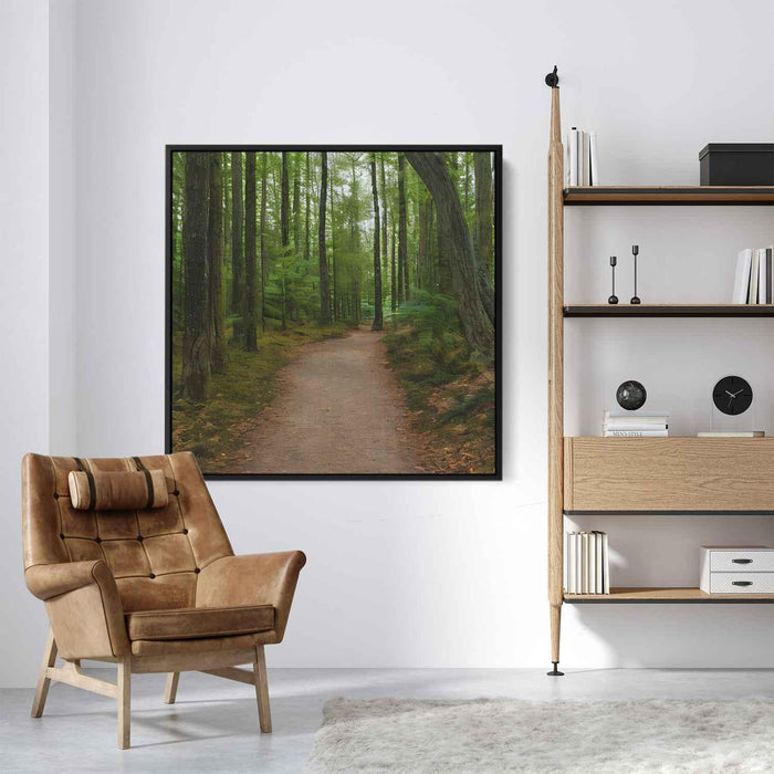 Forest Photography #013 - Kanvah