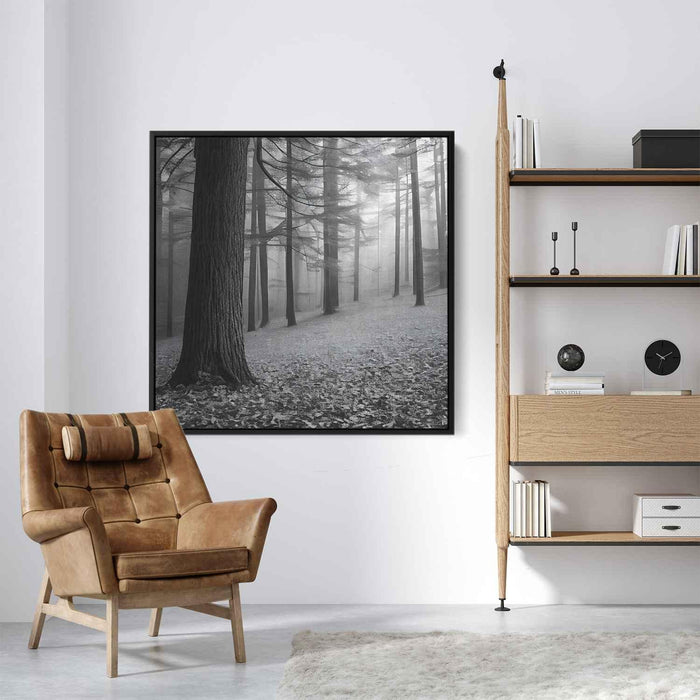 Forest Photography #017 - Kanvah