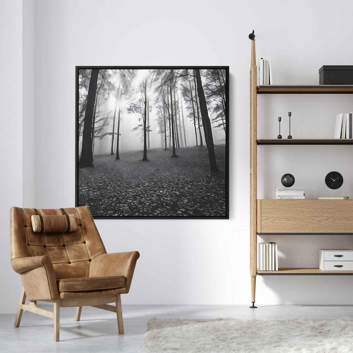 Forest Photography #021 - Kanvah