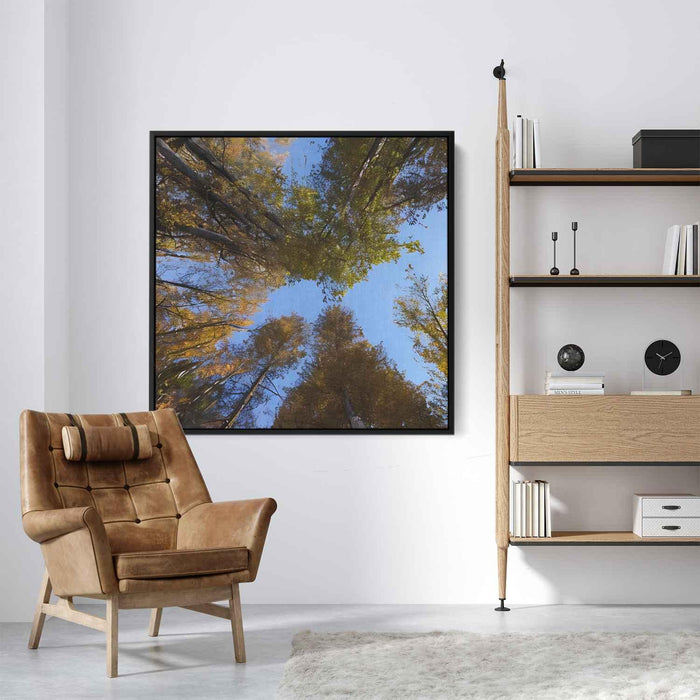 Forest Photography #029 - Kanvah