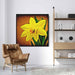 Sepia Daffodils #005 - Kanvah