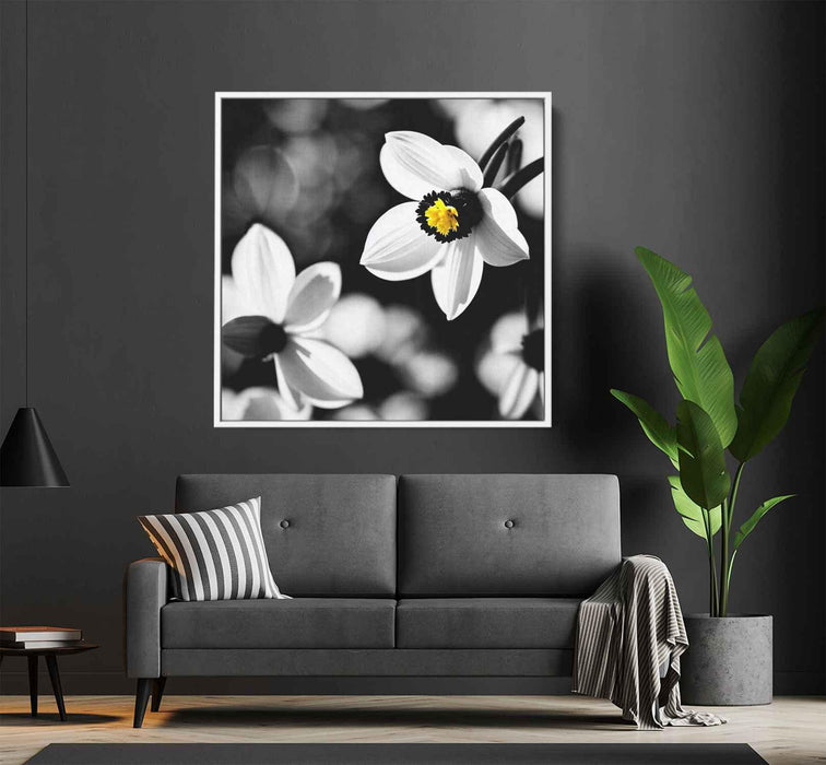 Black and White Daffodils #003 - Kanvah