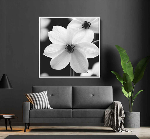 Black and White Daffodils #007 - Kanvah