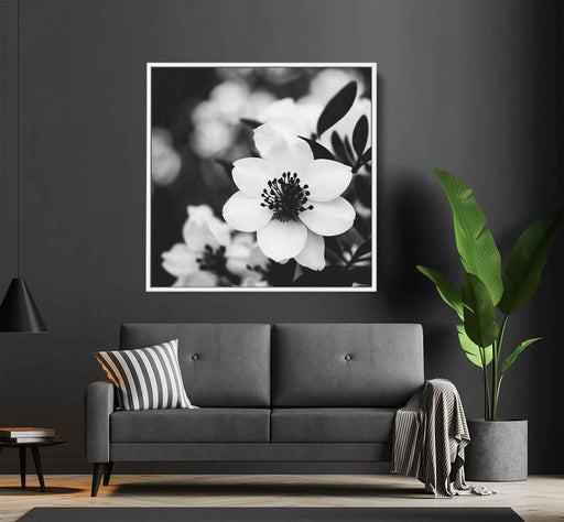 Black and White Rhododendron #007 - Kanvah