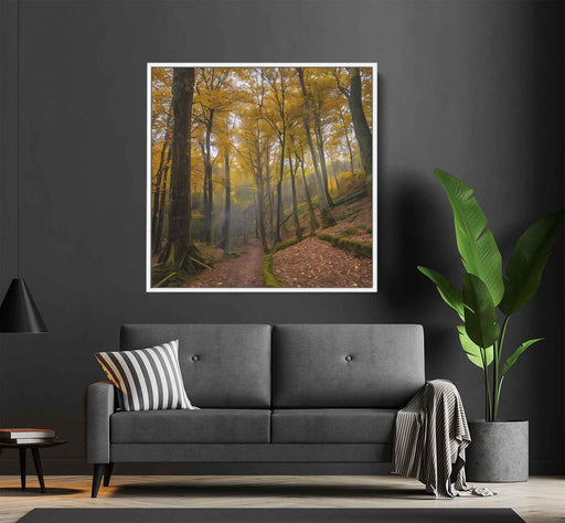 Forest Photography #005 - Kanvah