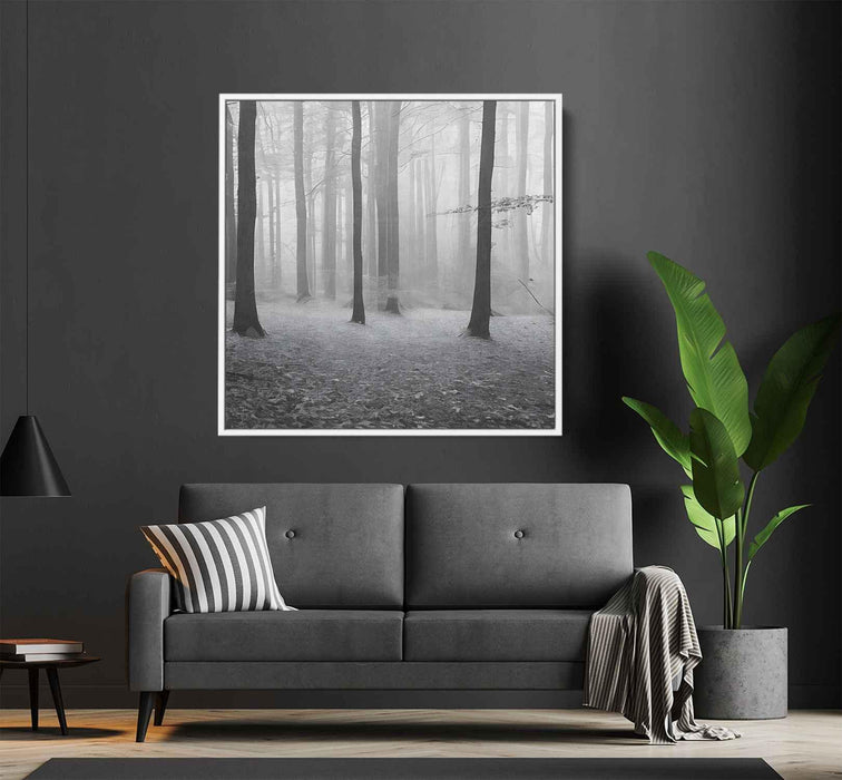 Forest Photography #007 - Kanvah