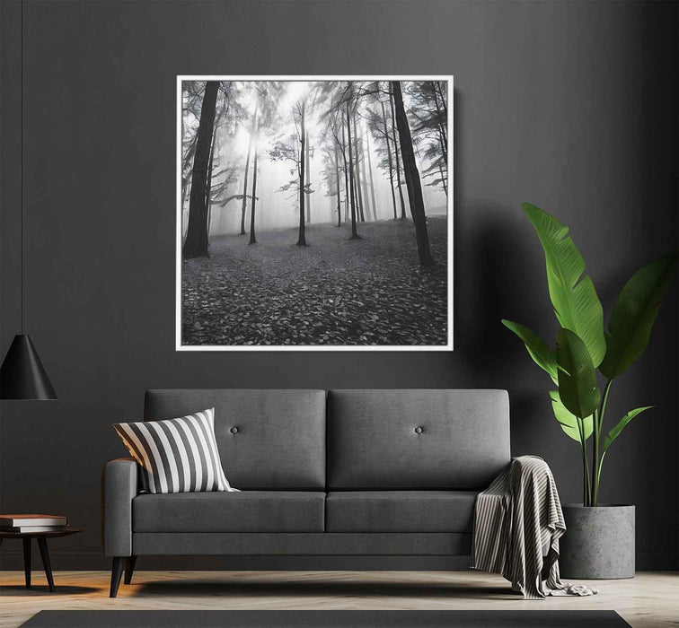 Forest Photography #021 - Kanvah