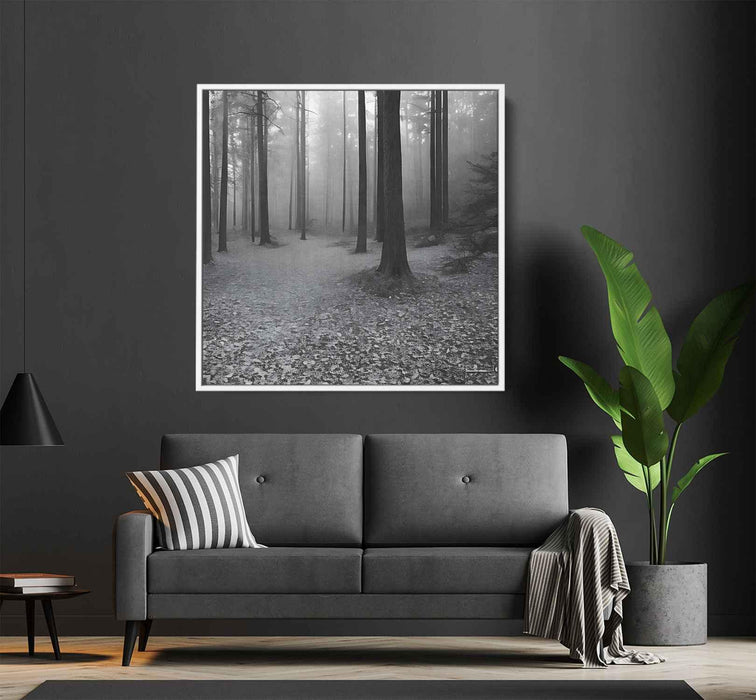 Forest Photography #027 - Kanvah