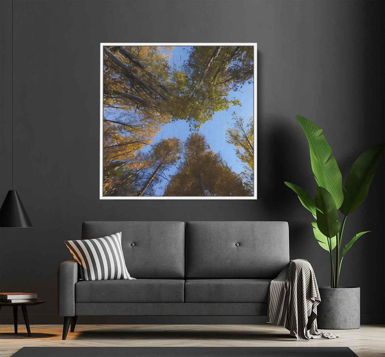 Forest Photography #029 - Kanvah