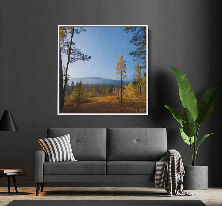 Forest Photography #031 - Kanvah