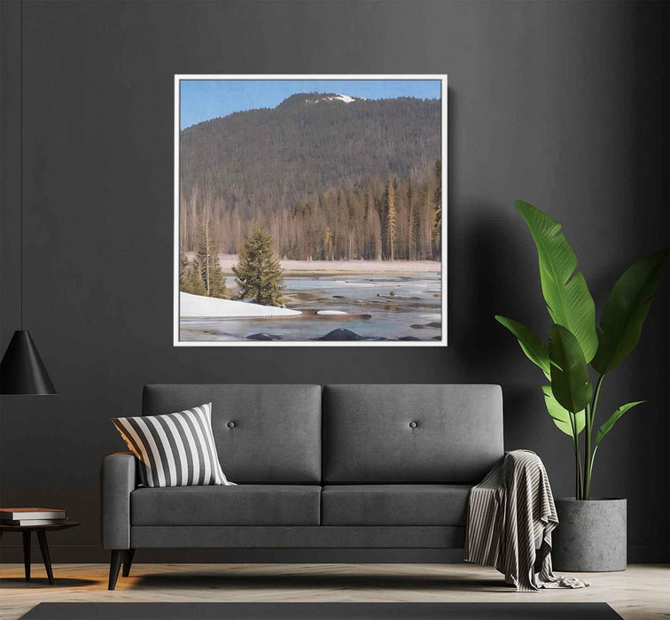 Forest Photography #033 - Kanvah