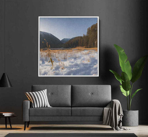 Forest Photography #035 - Kanvah