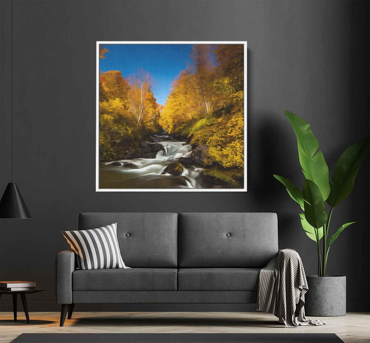 Forest Photography #037 - Kanvah