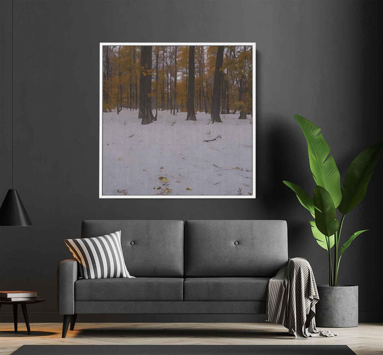 Forest Photography #041 - Kanvah